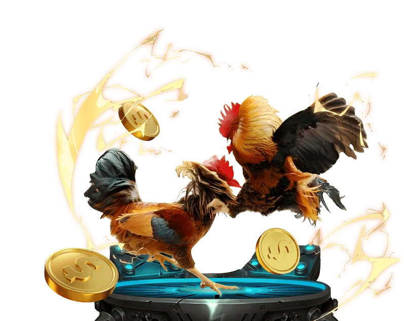 Hình ảnh thể hiện sự minh bạch trong quy trình xử lý dữ liệu của qq88 casino.